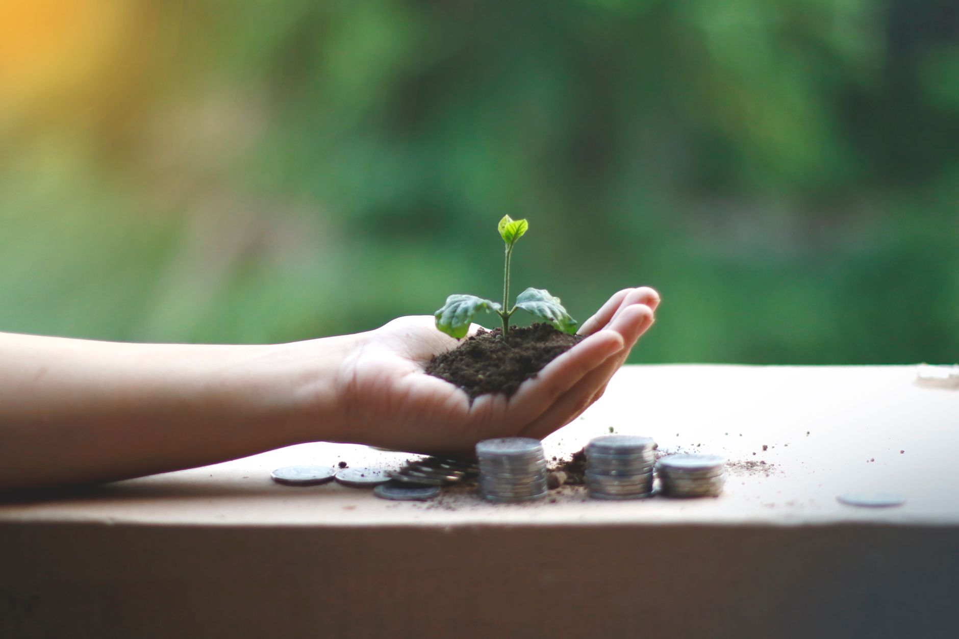 Money Growth Plant Savings
